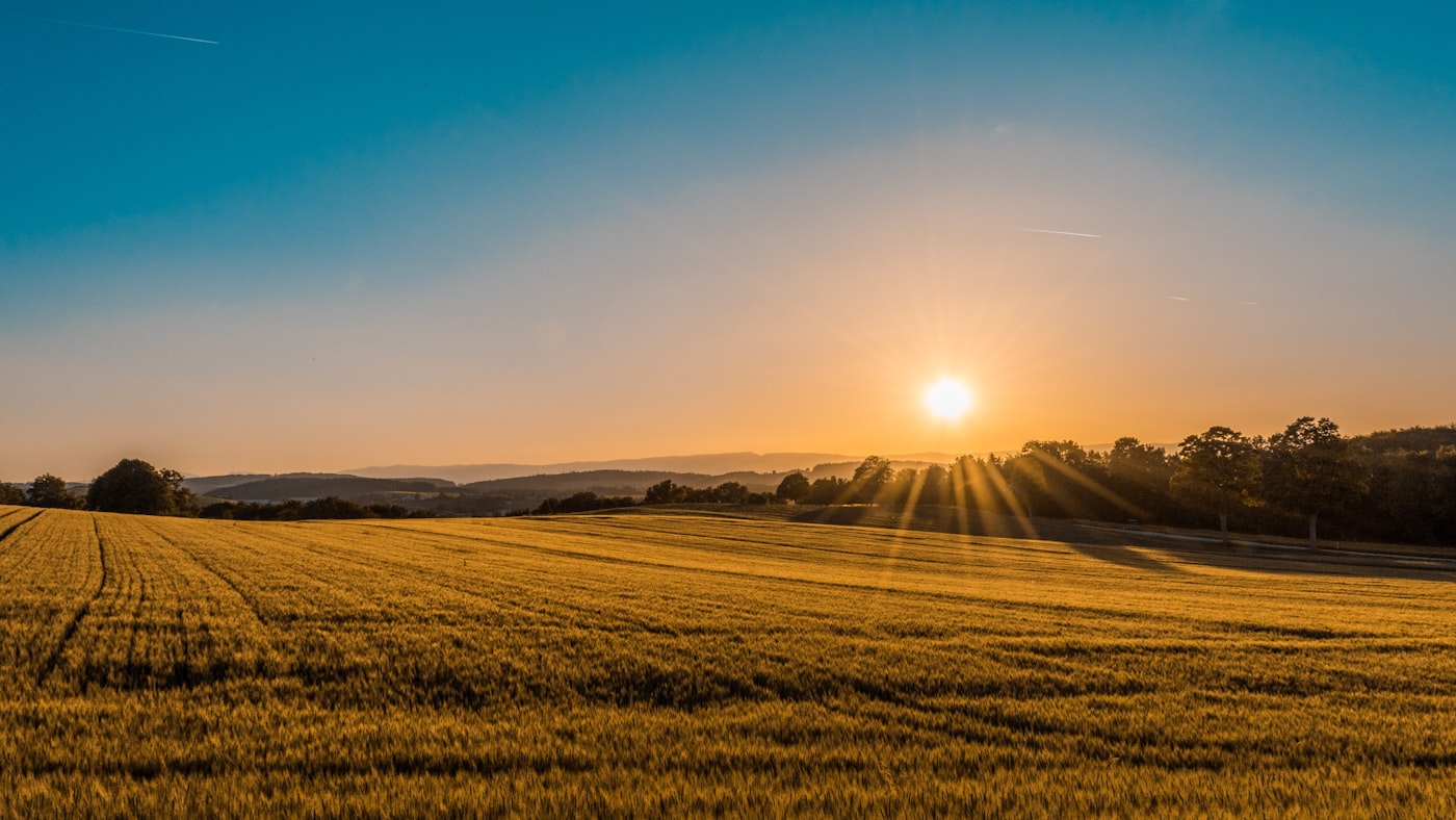 2.4 hectares farmland — Eastern Province